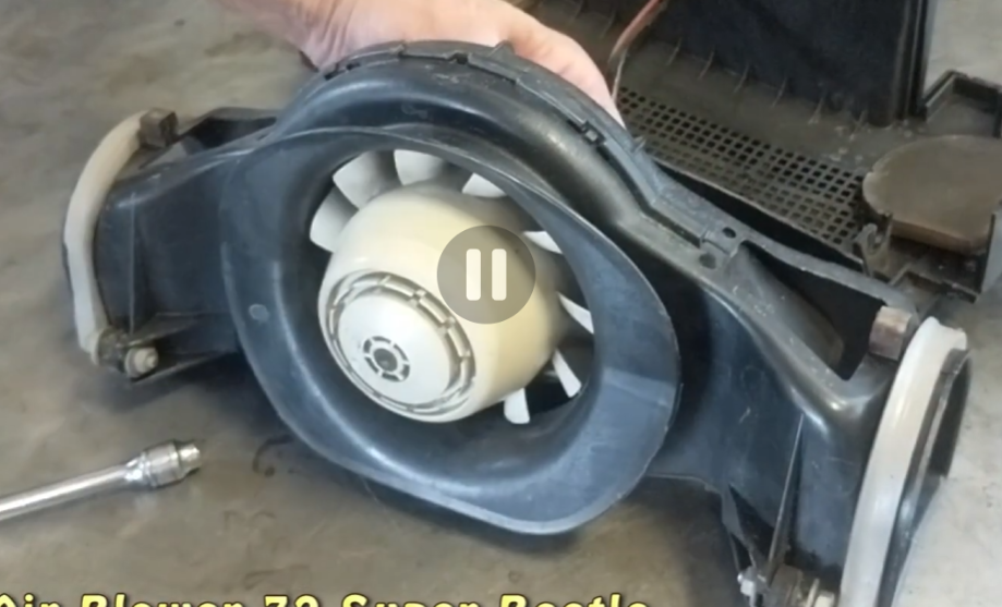 Something from my gallery