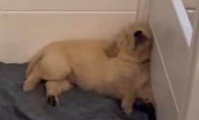 Something from my gallery