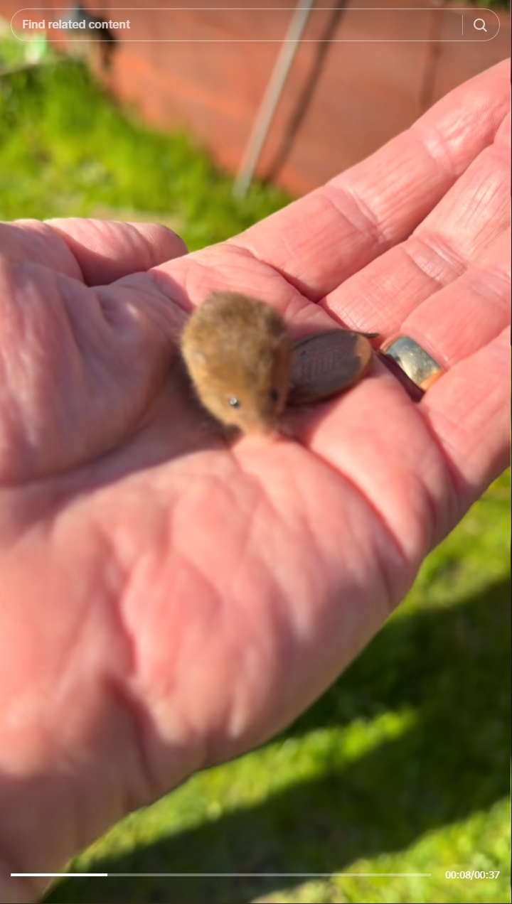 Something from my gallery